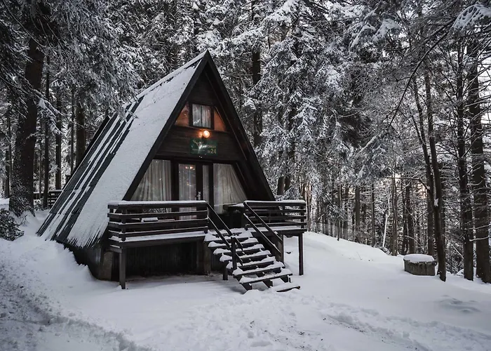 Chalet Jagoda & Malina Borovets