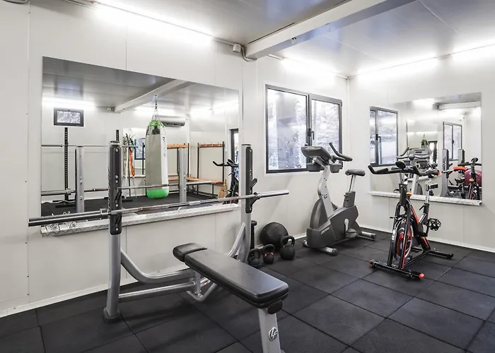 Шалета ягода&малина Боровец