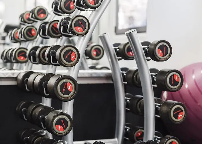 Шалета ягода&малина *