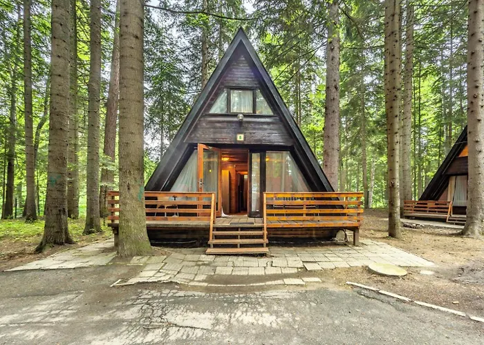 ягода&малина Шалета *