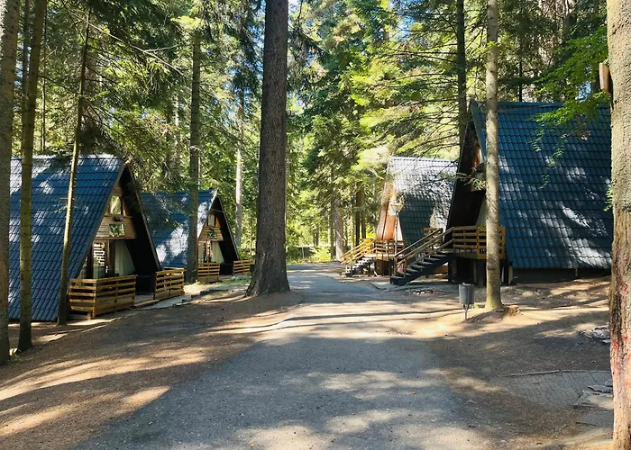 Шалета ягода&малина *